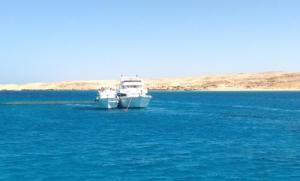 From Brendan's holiday in   Egypt