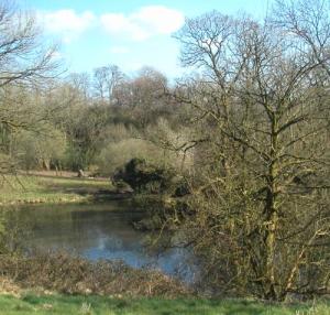 2002-01-01 00.00.00-1346