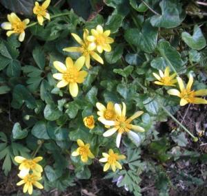 2002-01-01 00.00.00-1370