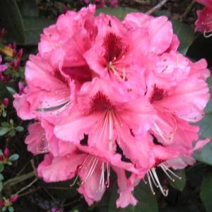 2002-01-01 00.00.00-1433