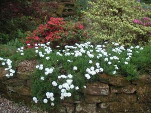 2002-01-01 00.00.00-1439