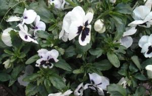 2002-01-01 00.00.00-1443