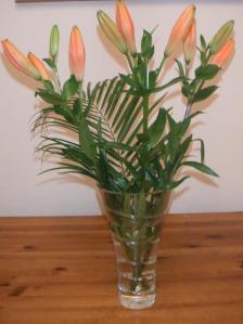 Orange lilies