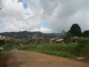 The long road to school