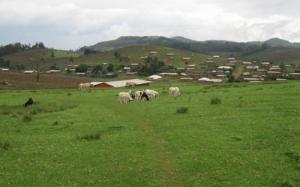 Mbosha's rolling hills