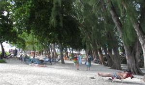 Miami Beach - Barbados