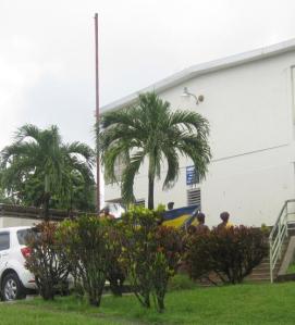 Brownies preparing the flag