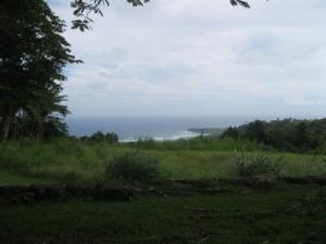 Vi from my 'office' for the day