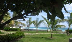 Beach at Hastings by the boardwalk