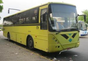 Jamaican bus