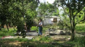My nephew's grave in the garden