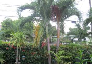 Rain cannot spoil the fun with views like this